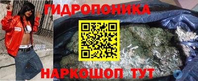 трава Кандалакша
