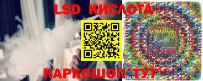 трава Кандалакша
