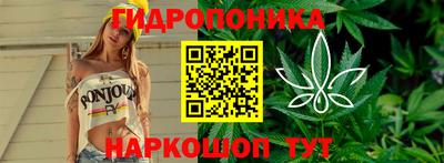 трава Кандалакша