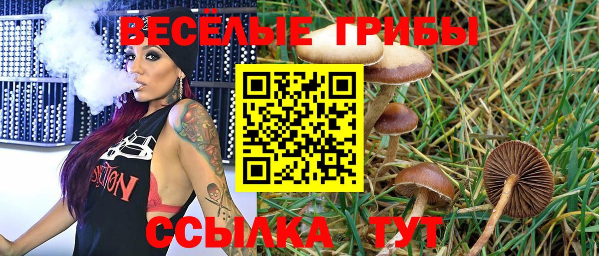 Южноуральск  Псилоцибиновые грибы Psilocybe  Вход с VPN 